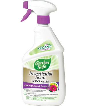 Garden Safe Insecticidal Soap RTU 24 oz 6/cs - Insecticides